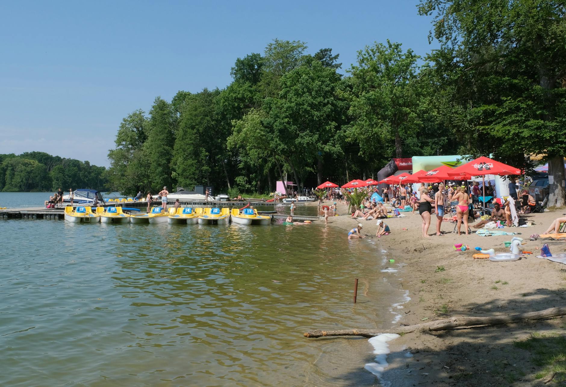 Zespół Pałacowo-Parkowy w Łańcucie w wiosennej scenerii, z kwitnącymi drzewami i zielenią w parku.